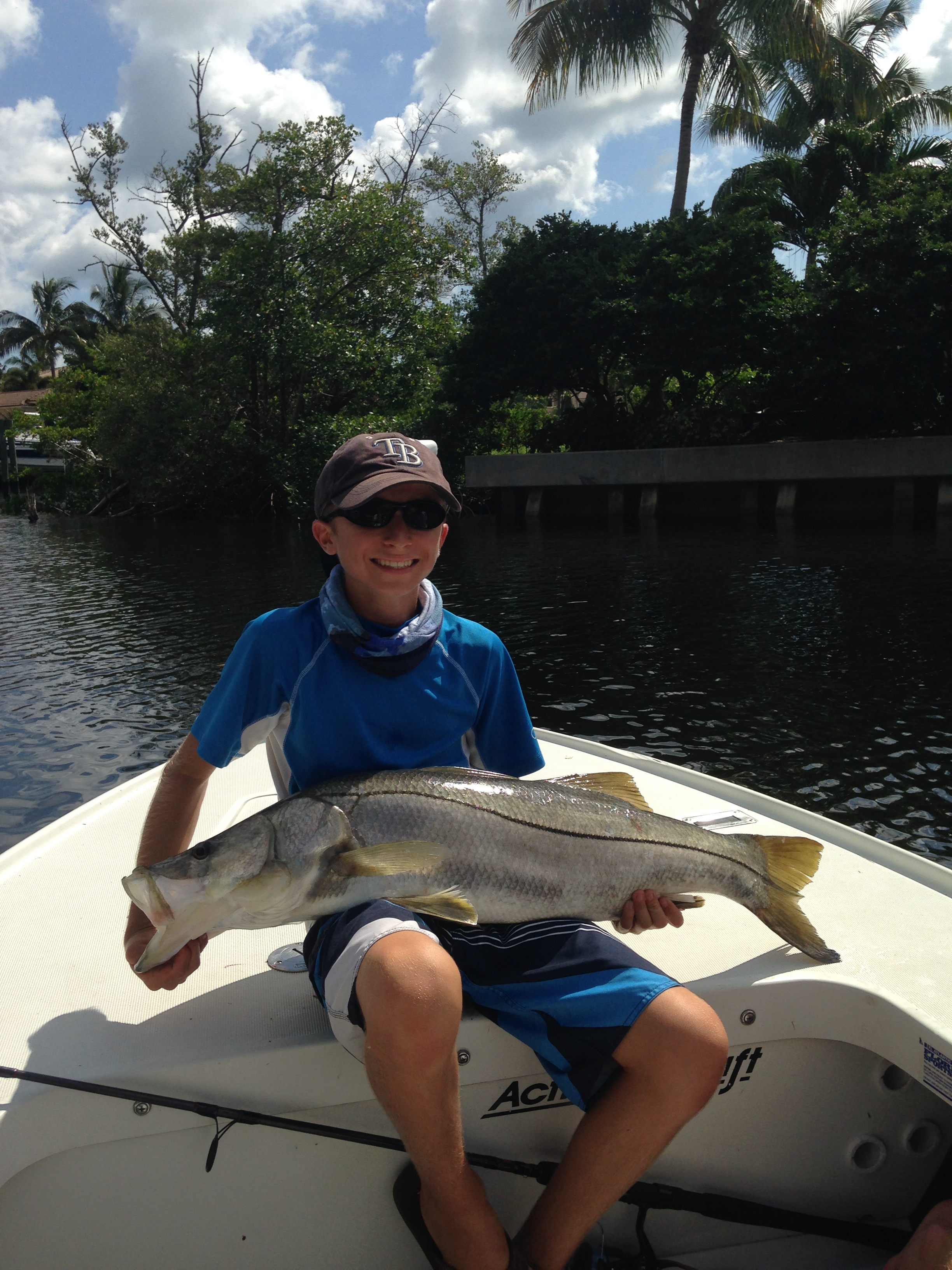Giant Snook
