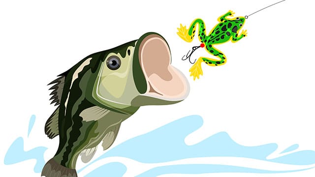 5 Best Topwater Frogs for Bass Fishing - Wish Upon A Fish