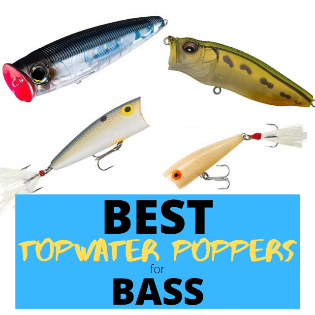 https://www.wishuponafish.com/wp-content/uploads/2020/03/best-topwater-poppers-for-bass.png