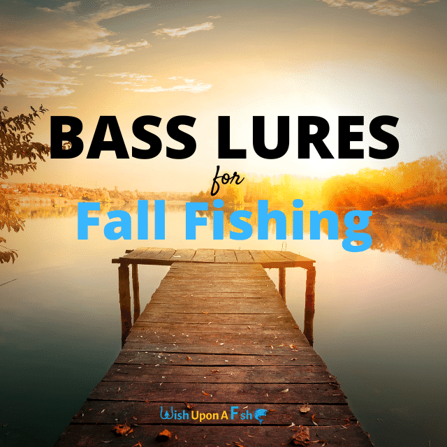 best-bass-lures-fall-autumn-fishing