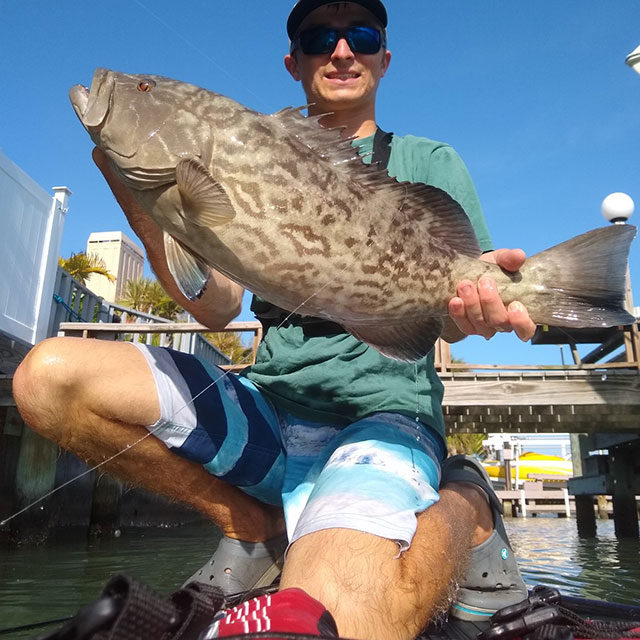 Gag-grouper-on-paddleboard